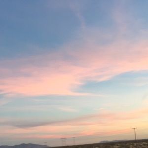 Meet your Posher, Brandi